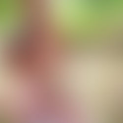 Fotograaf Stellenbosch – Louw Clan