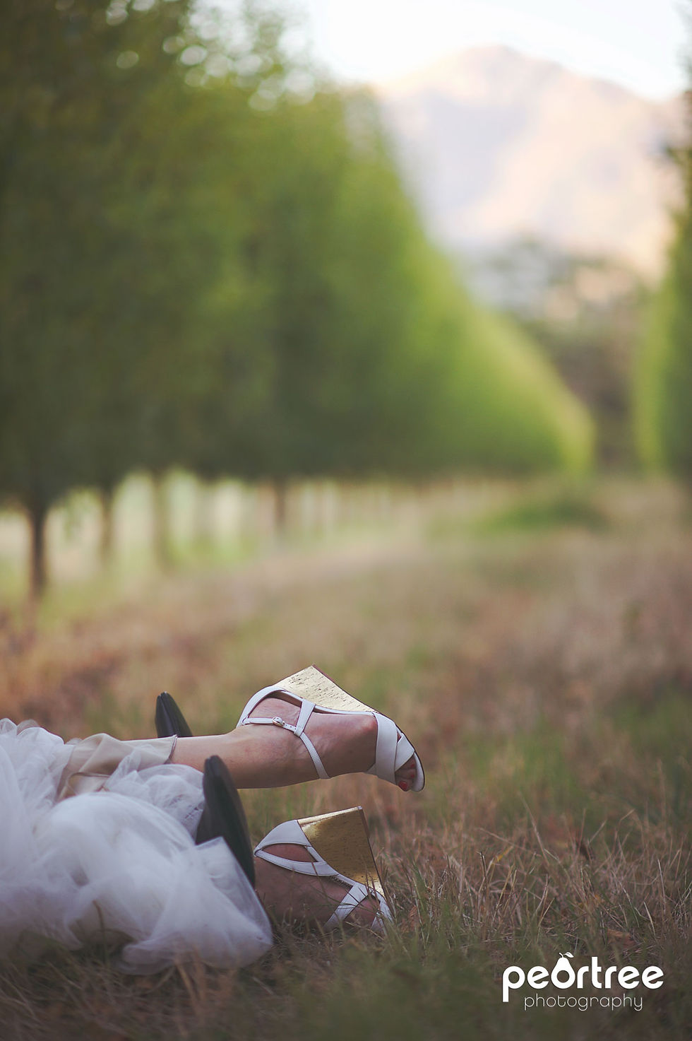 Franschhoek Wedding Le Petite Dauphine