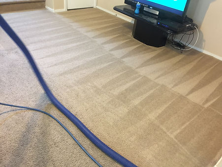 Eco's Carpet Solutions