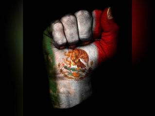 Fuerza México