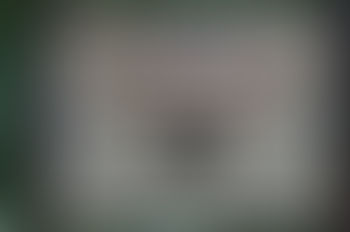 Why the Rock Family Volunteer Historic Cemetery Care Project Has Been Stymied By NAD & Ruffin Family