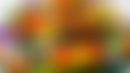 "Send Me": Former President Barack Obama Reflects on Rev. Dr. Jesse Jackson's Impact on America