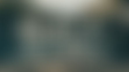 A Community Mourns: The Tragic Murder of Tristan Reeves