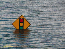 The Rising Tide of Climate Activism: A Call for Urgent Action