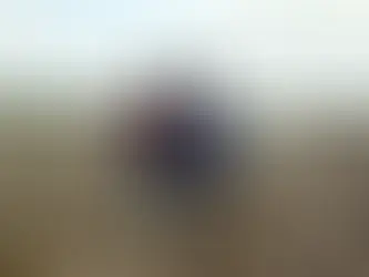 N.J. Premiere Documentary 'A Story of Bones' 2022 Teaneck Intn'l Film Festival Event 11/17