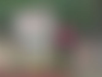 Rock Family Volunteer Historic Shadow Rest Cemetery Care Update For Summer 2022