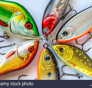 spinner-koder-und-fischen-schwimmt-auf-weiss-hpry52.jpg
