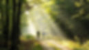 fahrradtouren.jpeg