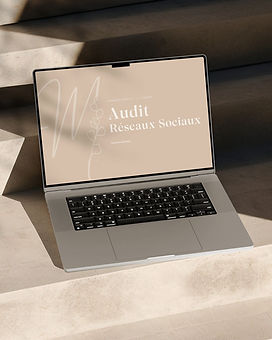 Audit des Réseaux Sociaux