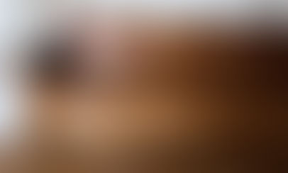 Битва бамбетля