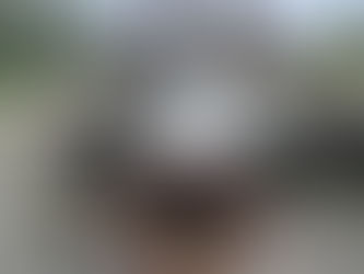 Хроніки "зрадопартнерства"