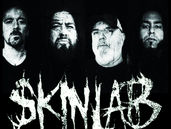 Skinlab - Distilled Entertainment - Booking Agency for North America