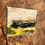 Thumbnail: "Rapeseed Road"
