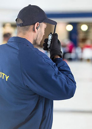 servizi vigilanza fiduciaria team security