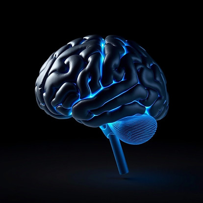 Brain _Cognitive_Black or dark blue...jpg