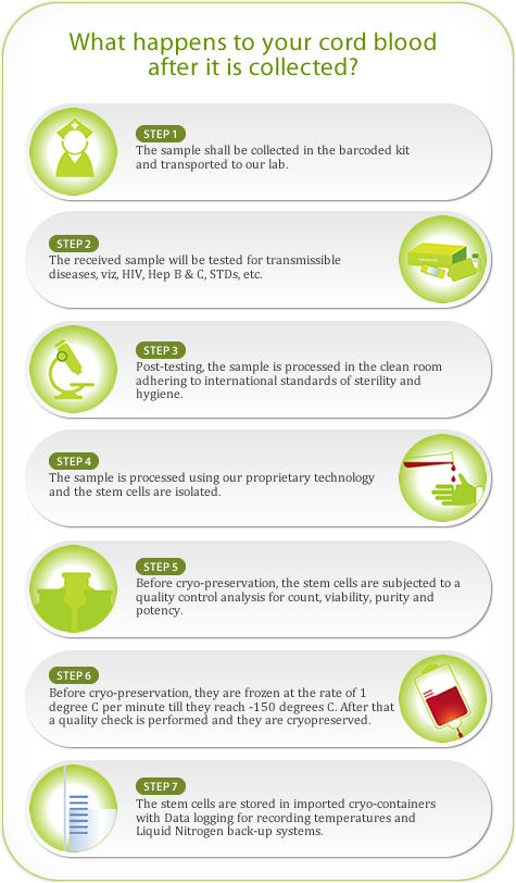 cord-blood-banking-procedure.jpeg