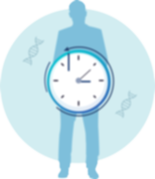 Internal_Clock.png