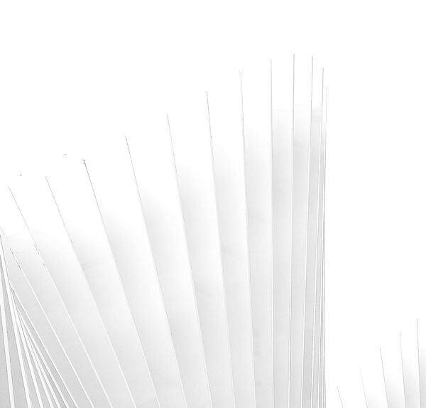 Legal Solution Consulting page Guichet Unique