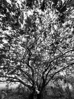 20221016_121519.jpg