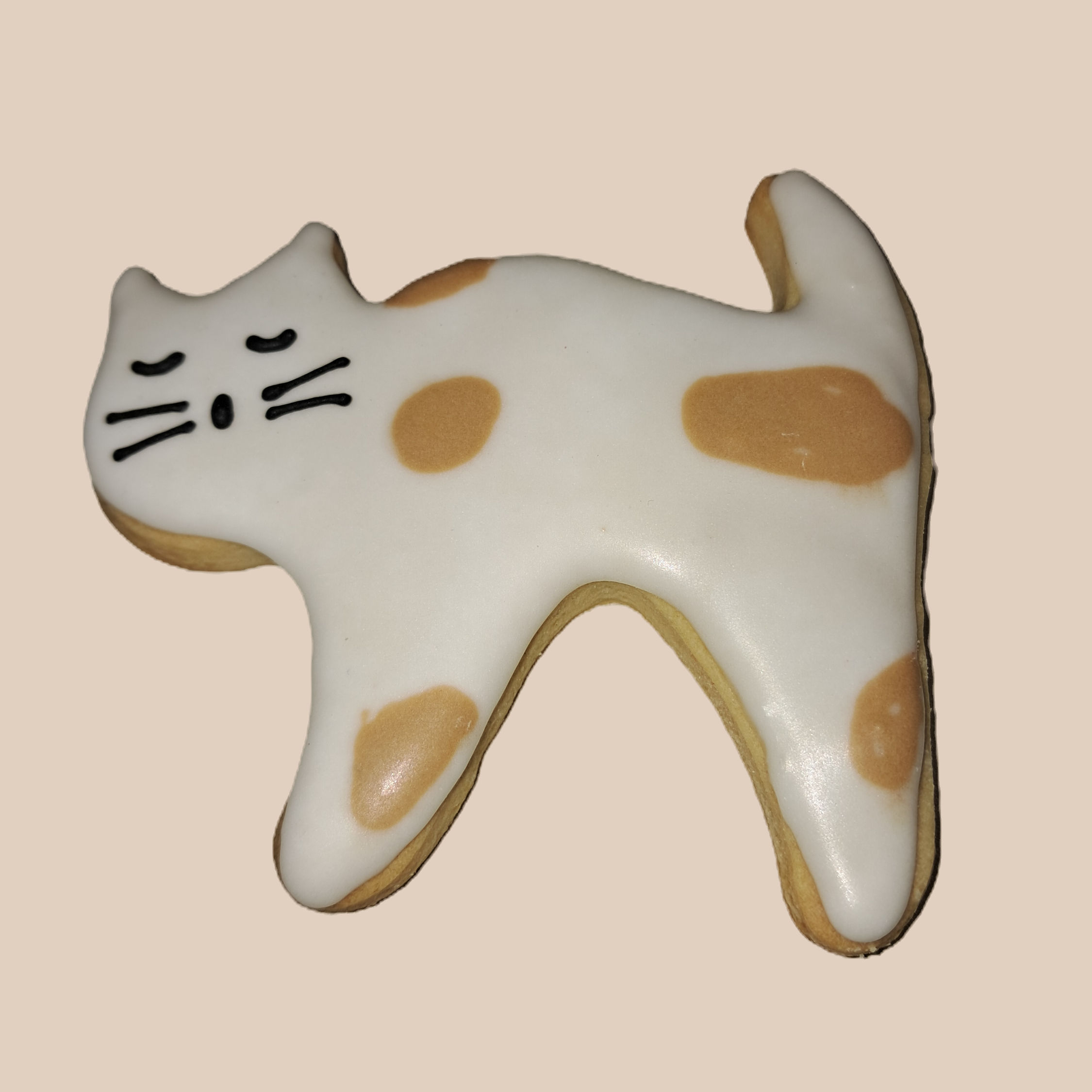 Chat