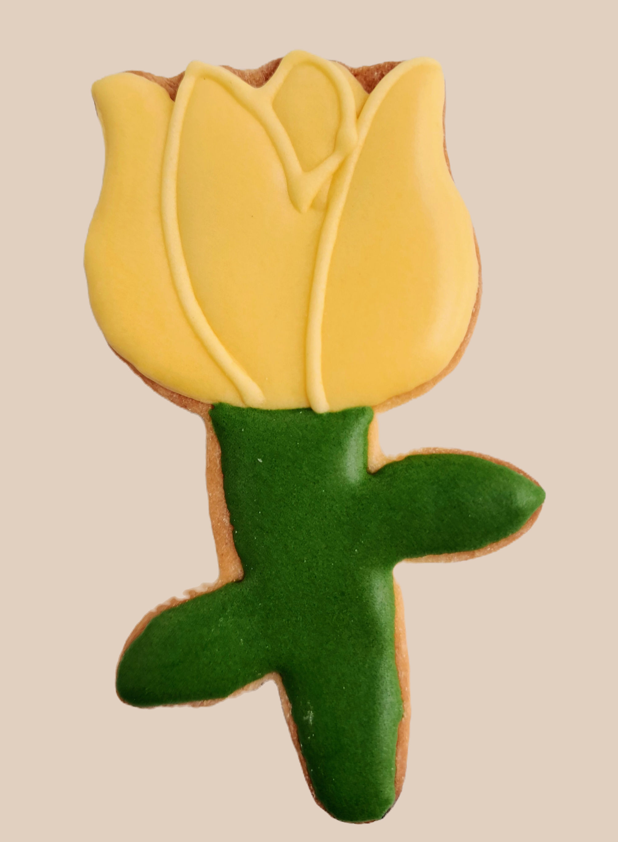 Tulipe