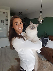 Le Petit Chou kater