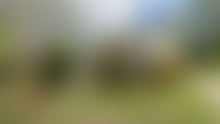 JUST LISTED.....17 Aramac St, Keperra