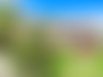 SOLD.....37 Sizer Street, Everton Park