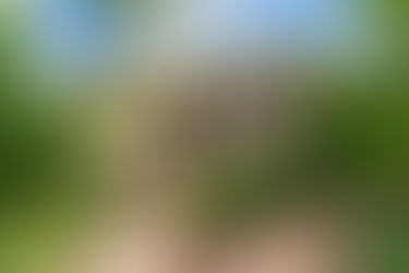 UNDER CONTRACT.....157 Banks Street, Alderley