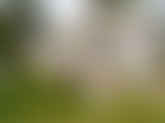 SOLD.....22 Clemesha St, Keperra