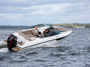 Flipper 650DC_128.jpg