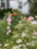 IMG_1381.jpeg