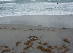 Screen Shot 2015-12-05 at 21.57.33