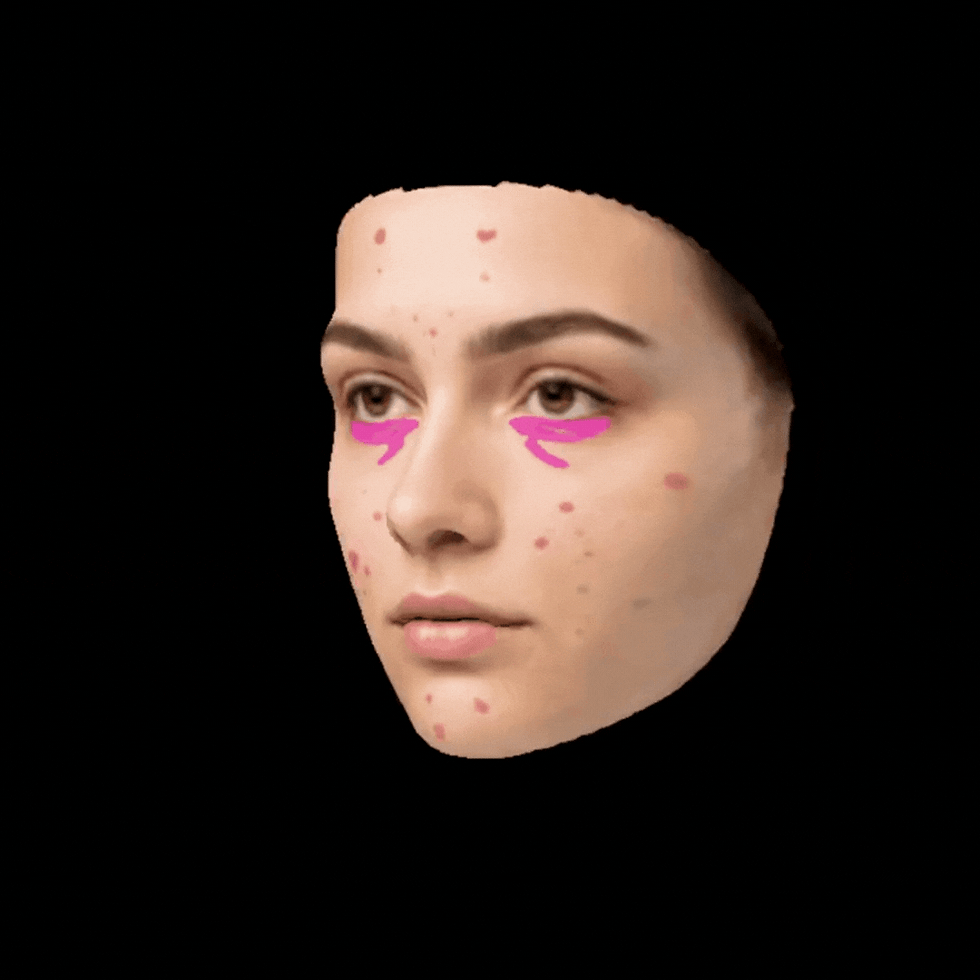 Face 3D Modeling.gif