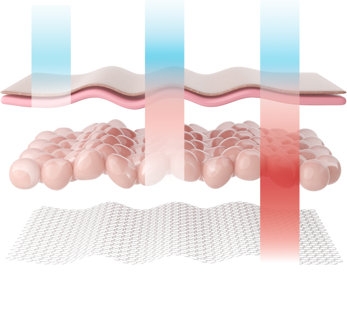 Gradient Fill 3 copy 7.png