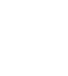 Vector Smart Object-3.png