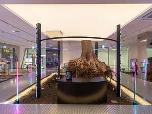 Join us for a year-long AI skin and scalp analysis experience at DDP starting July 22, 2024!