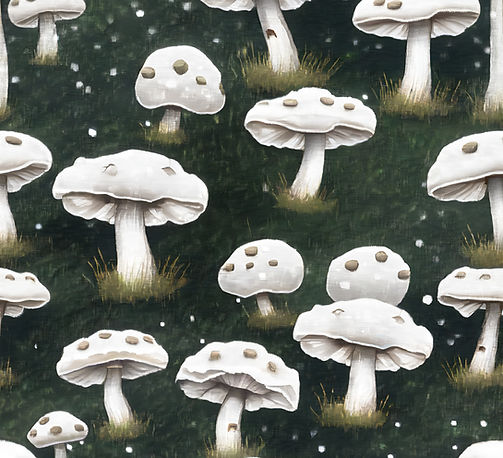 Snowfall Meadows