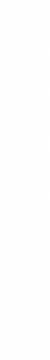 Untitled design-11.png