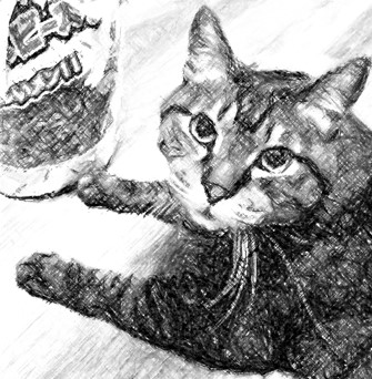 執筆者の写真: Nyaa