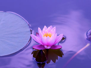 Body Scan Meditation: 15 Minutes To Total Relaxation