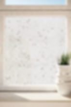 frosted plant window film