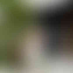 アルファスマート牧港