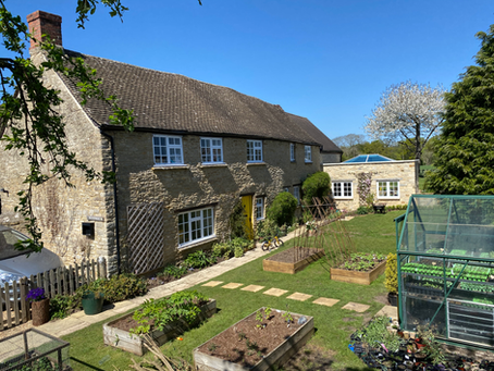 My cottage garden featuring 6 raised flower beds