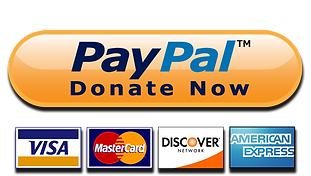 paypal-donate-button-high-quality-png.pn