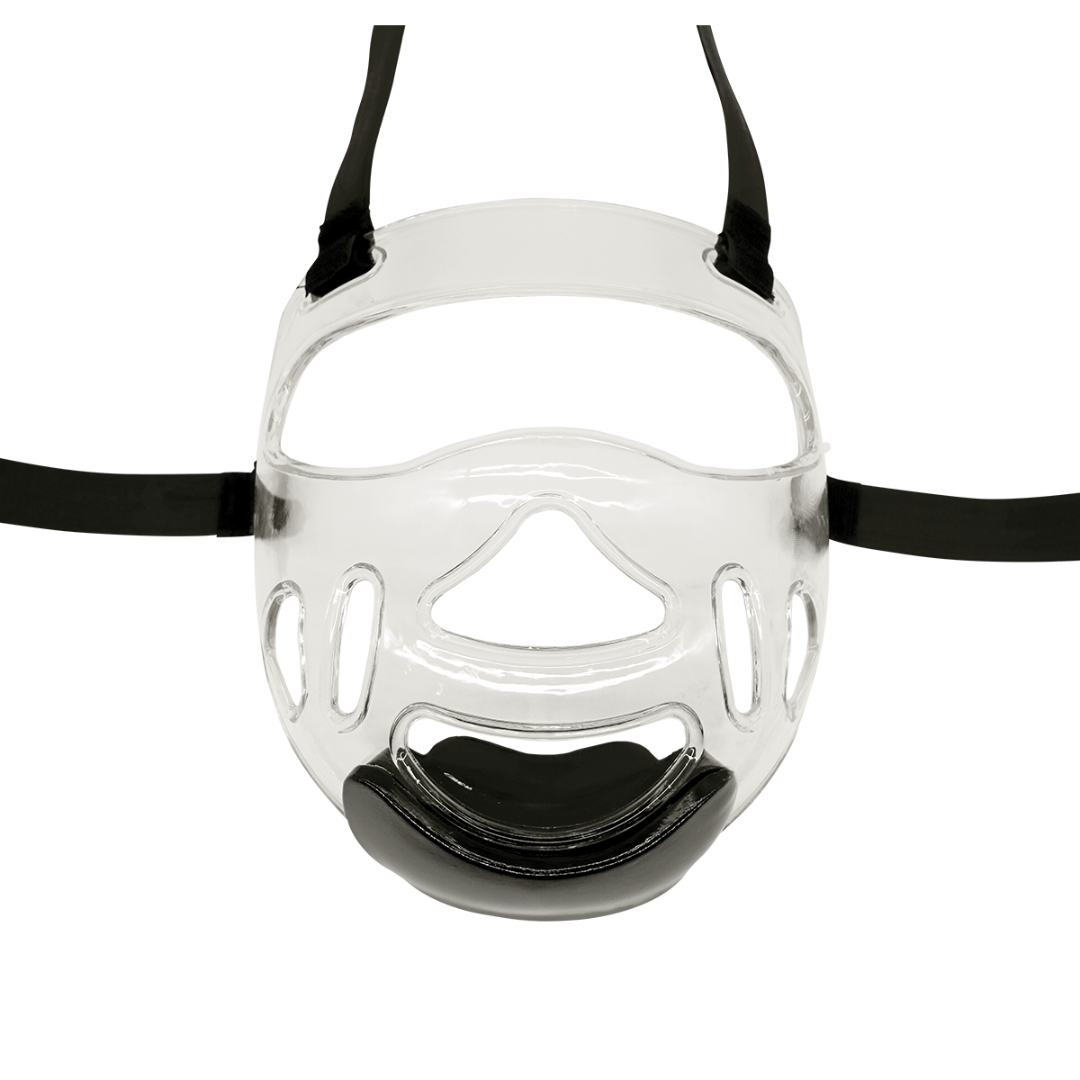 Visor for Head guard
