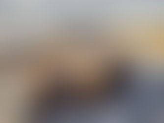 Vi selger visningshytta vår på Vaset