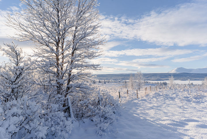Nøsen Yoga og Fjellhotell, utleiehytte, Nøsen, Valdres