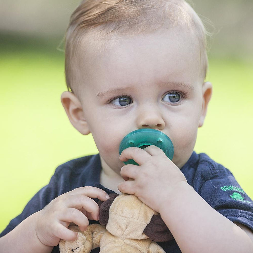 Miniatura: Perro Wubbanub - Pacifier