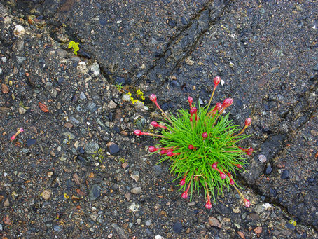 The Little Things: Seeing God in Everyday Life